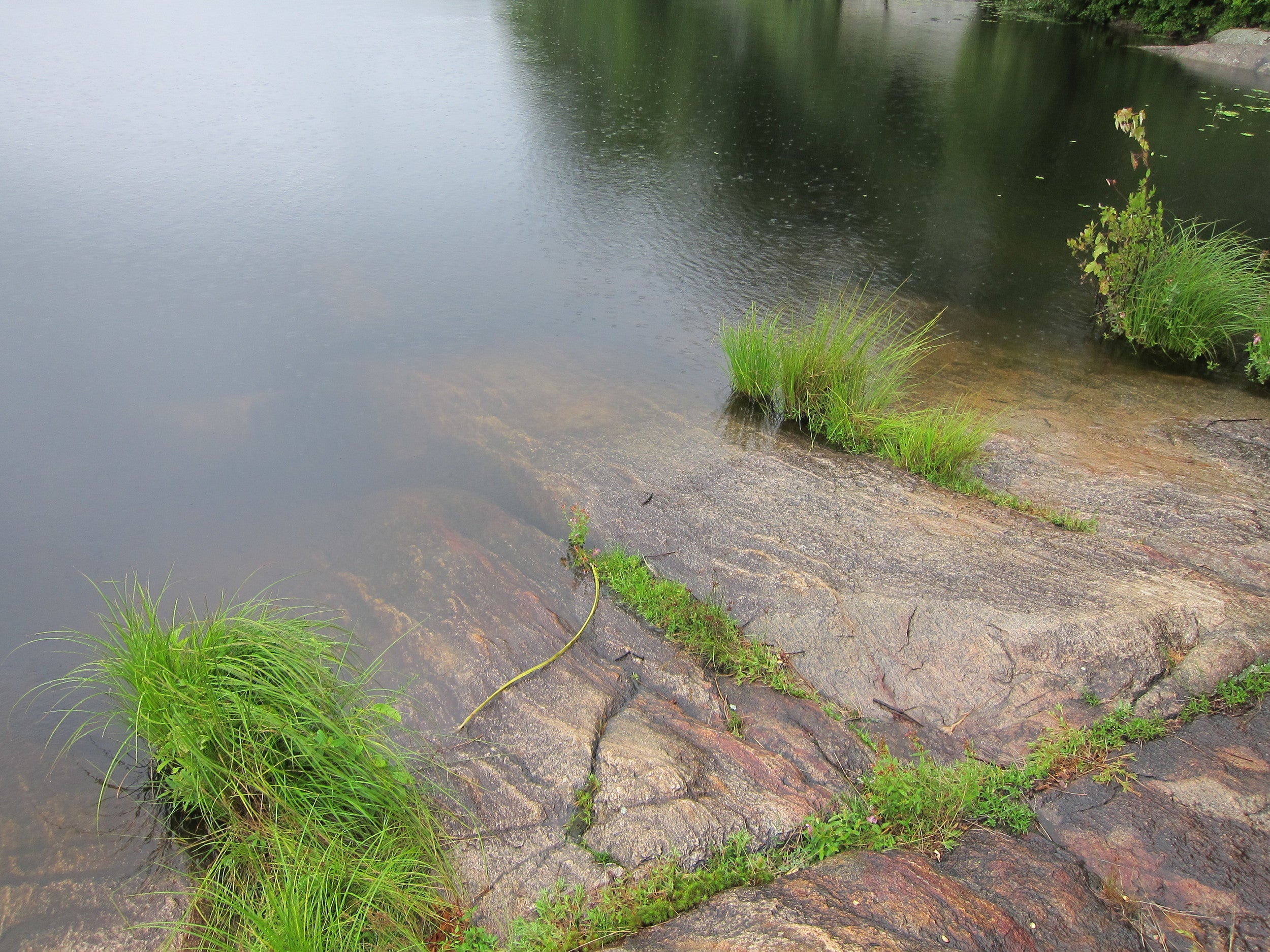Harriman State Park